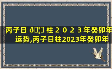 丙子日 🦍 柱２０２３年癸卯年运势,丙子日柱2023年癸卯年运势怎么样 🐴
